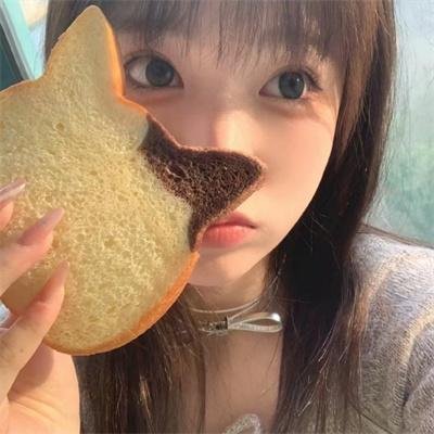 狗狗与我的十个约定